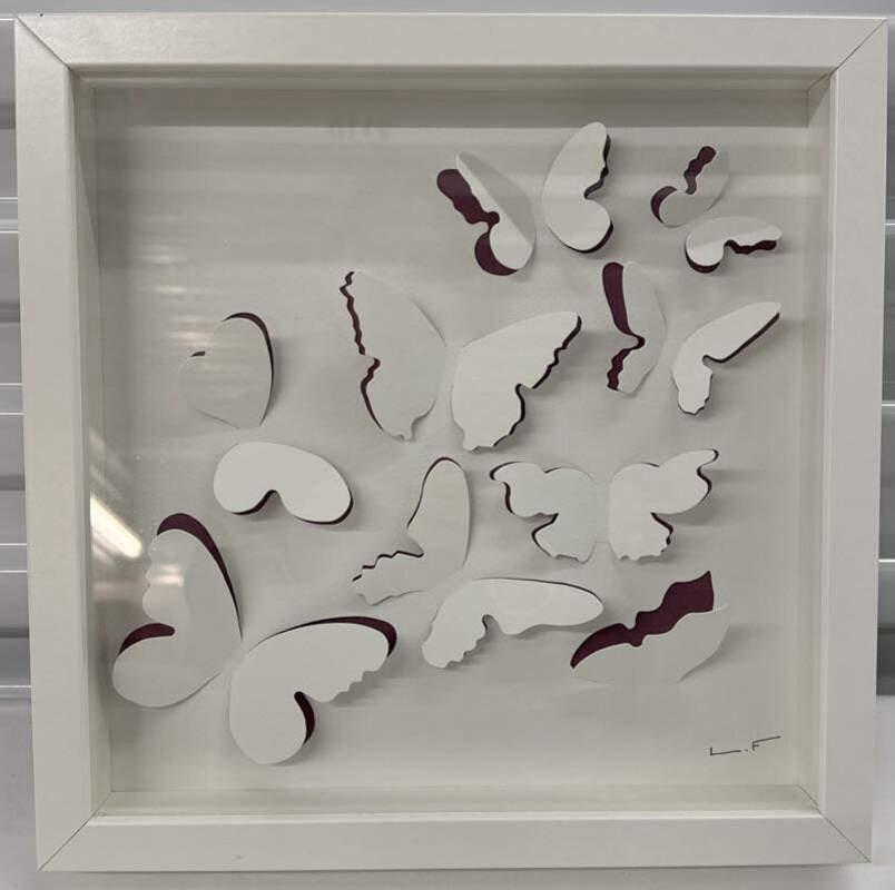 Butterfly Shadow Box
