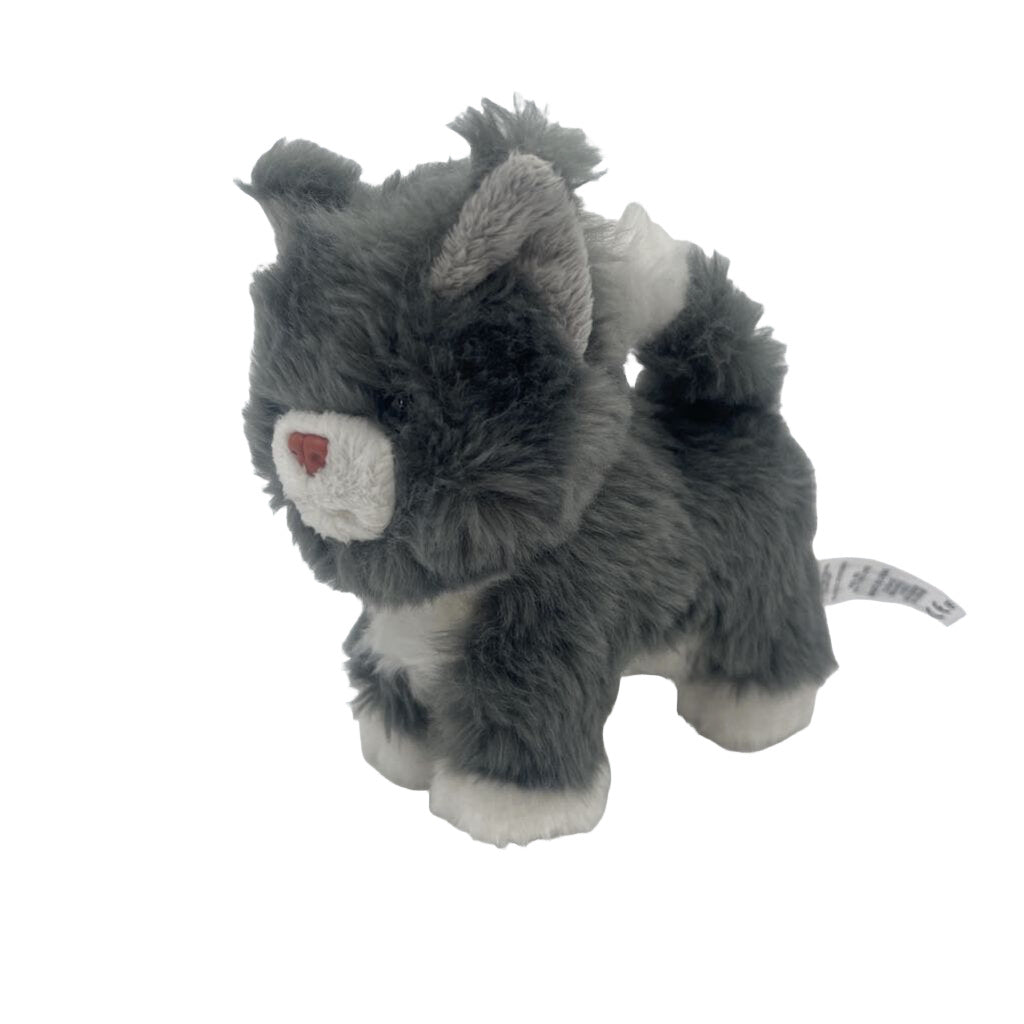 Pet Cat