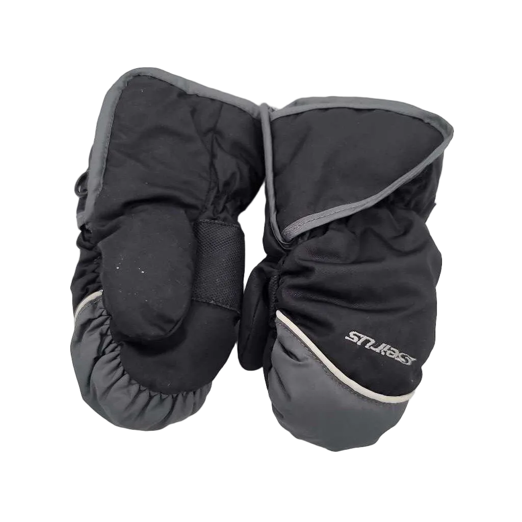 Ski Mittens