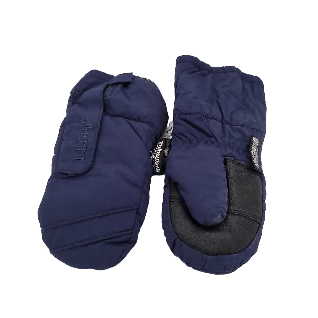 Insulated Mittens