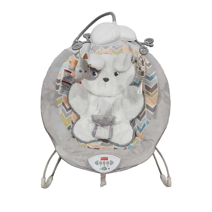 Sweet Snugapuppy Deluxe Bouncer