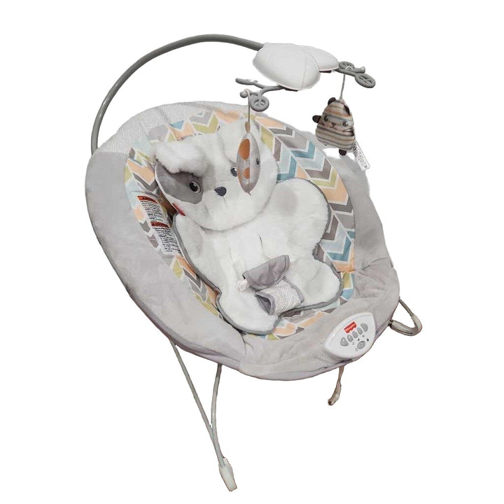Sweet Snugapuppy Deluxe Bouncer
