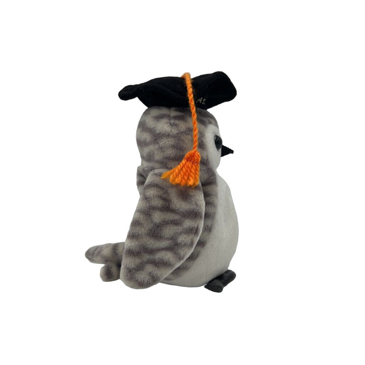 Class of 1999 Owl