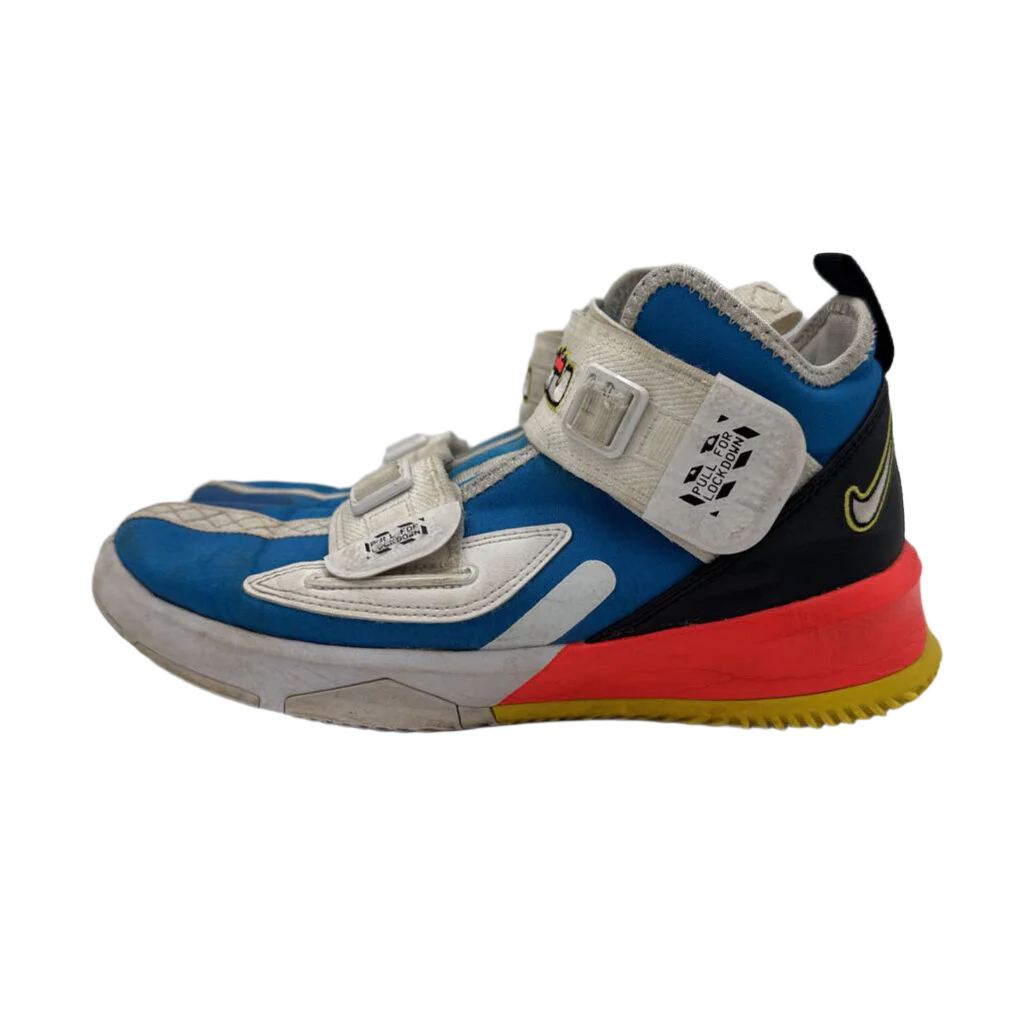 Lebron Basketball Shoe
