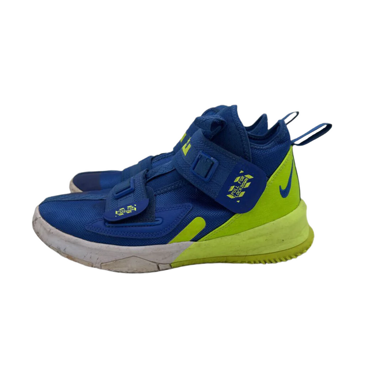Lebron Basketball Shoe