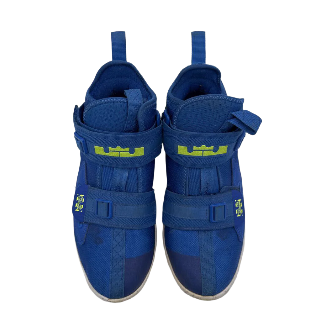 Lebron Basketball Shoe