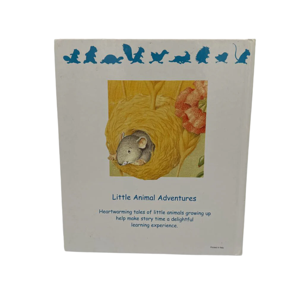 Little Mouse's Rescue