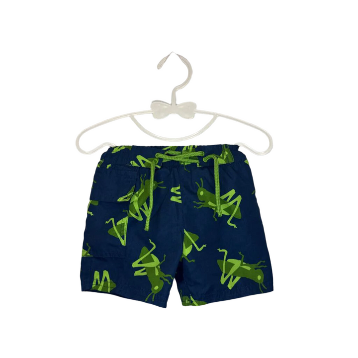 Grasshopper Swim Set
