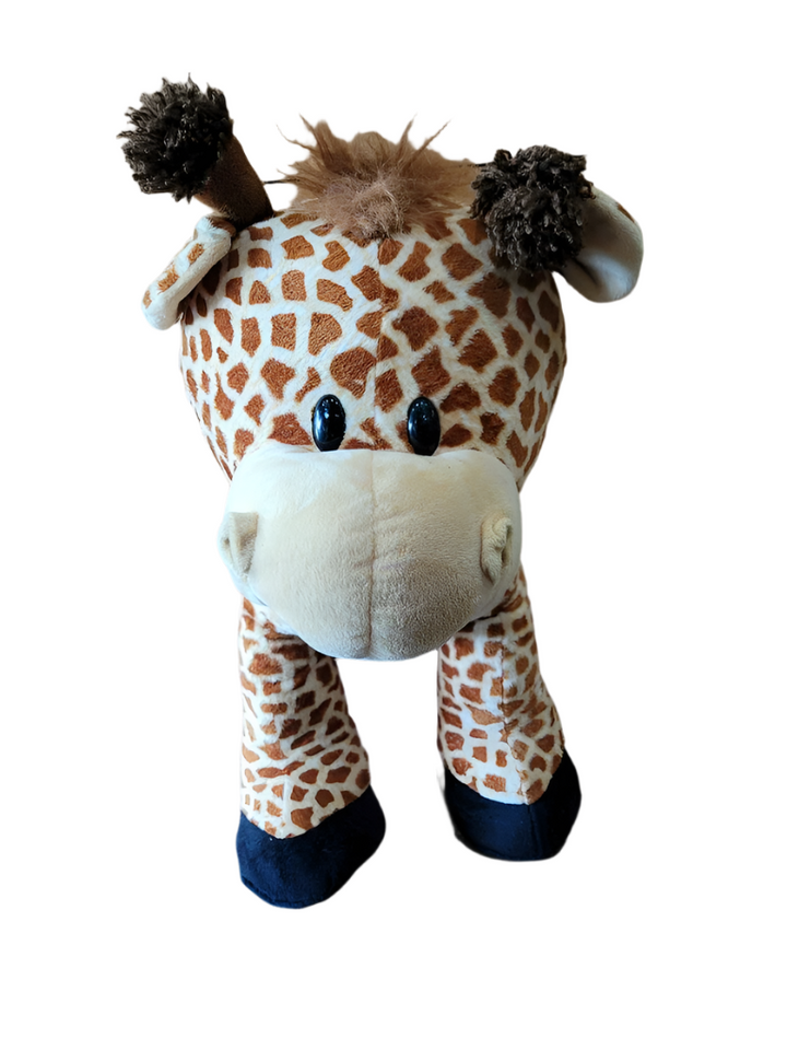 Ride on Giraffe
