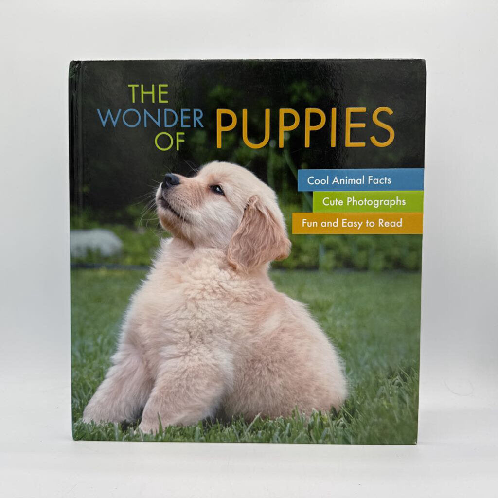The Wonder Of Puppies