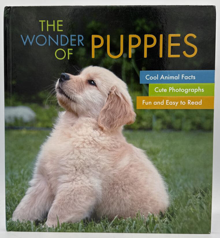 The Wonder Of Puppies