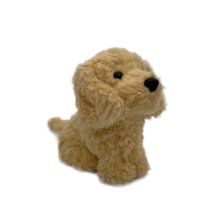 Honey The Pup Pet Golden Retriever