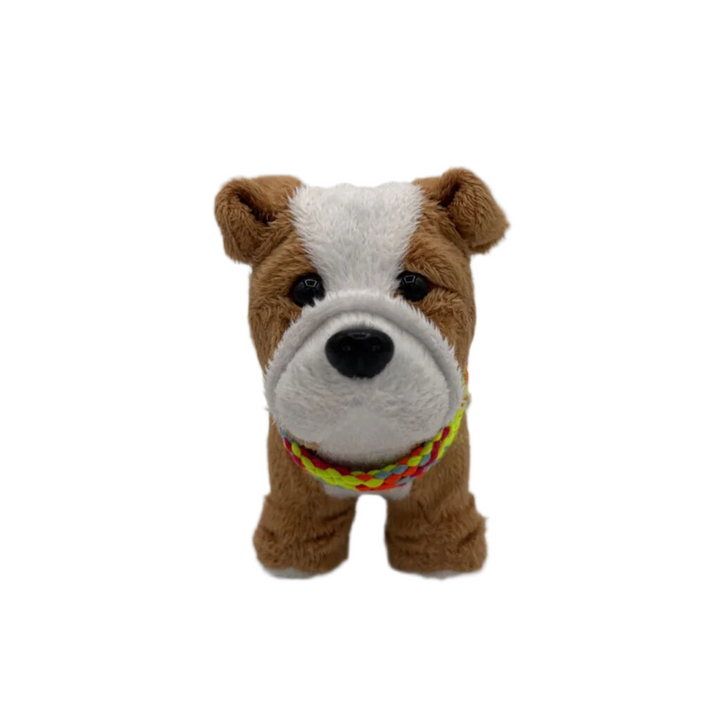 Meatloaf The Bulldog + Collar