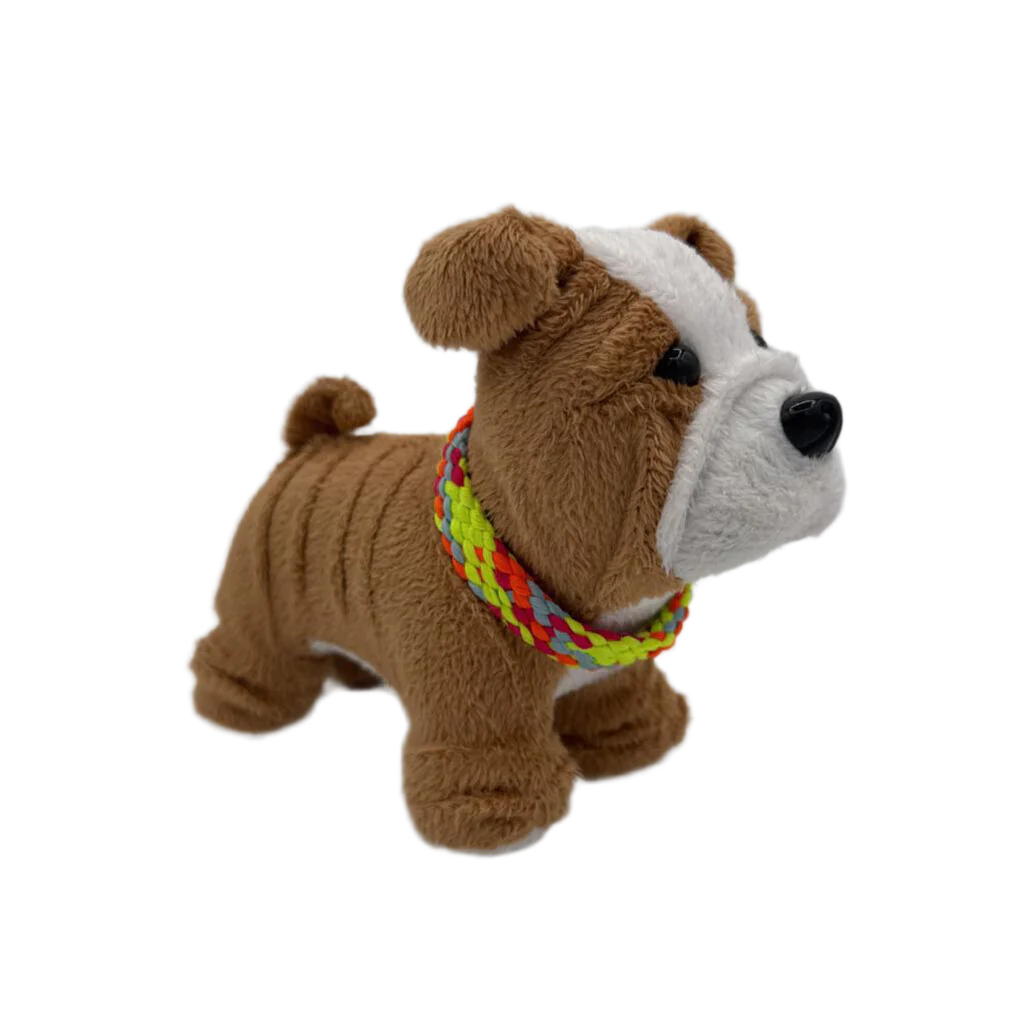 Meatloaf The Bulldog + Collar