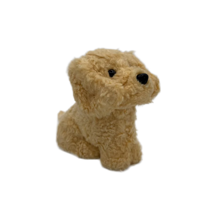 Honey The Pup Pet Golden Retriever