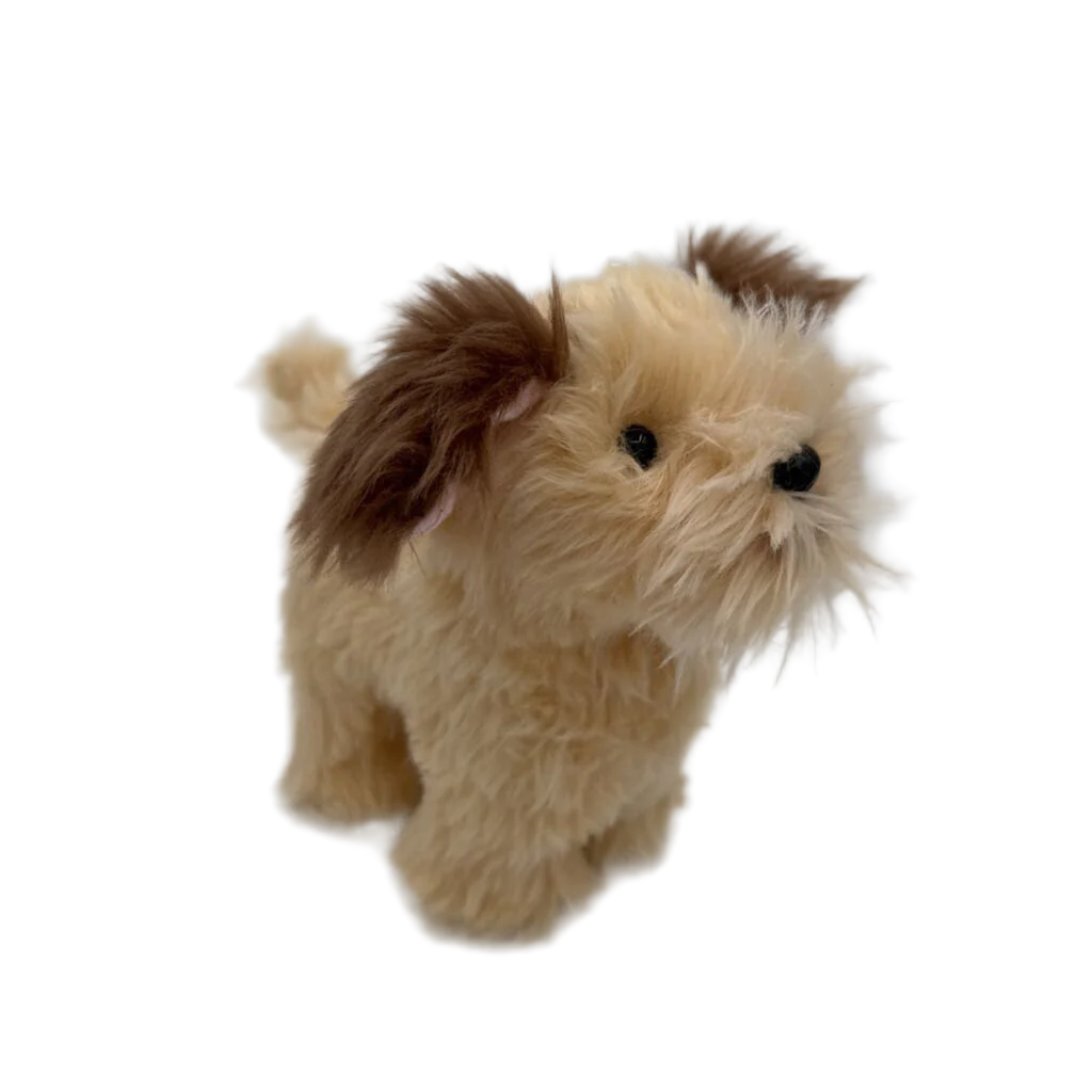 Wheaten Terrier Puppy