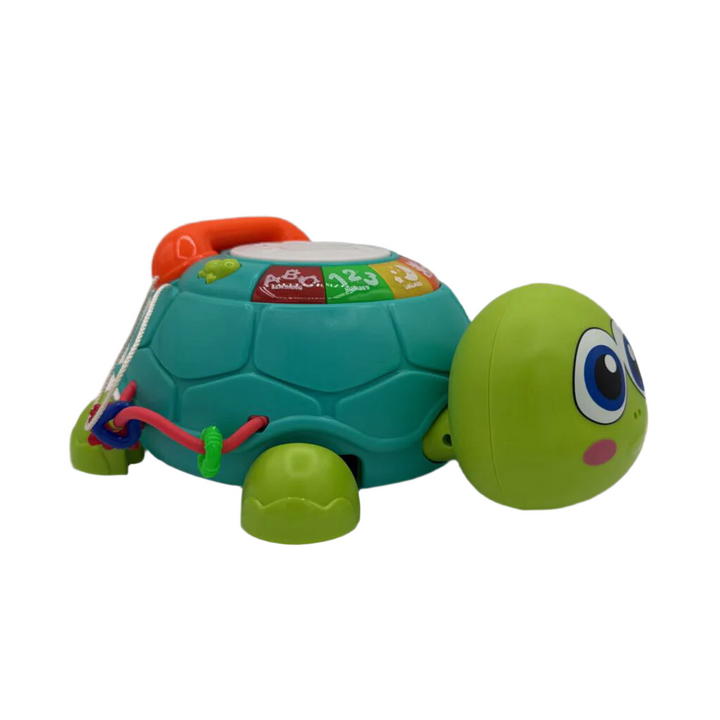 Activity Phone Turtle