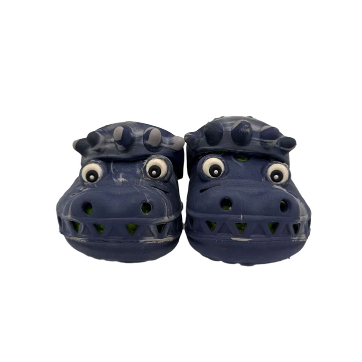 Slip On Water Shoes/Dinosaur