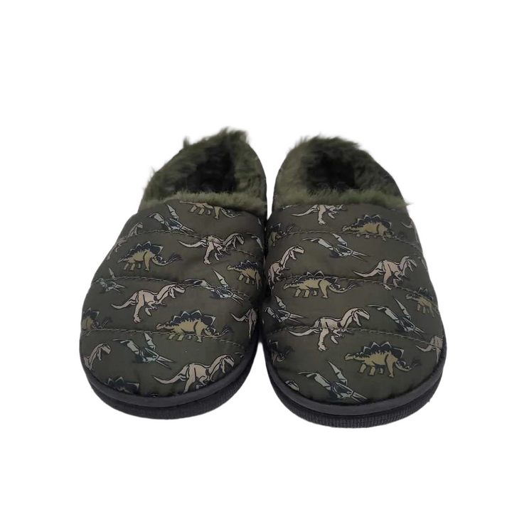Faux Fur Lined House Shoes / Dinosaurs