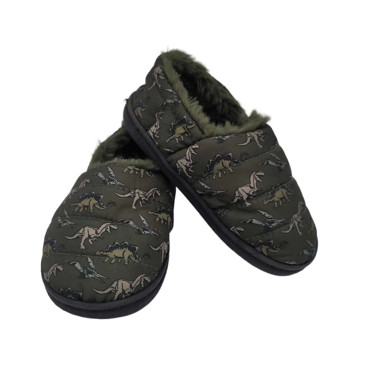 Faux Fur Lined House Shoes / Dinosaurs
