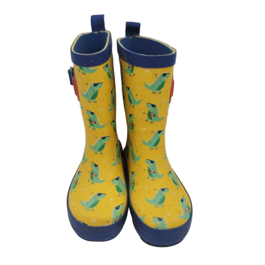 Rainboots / Dinosaurs