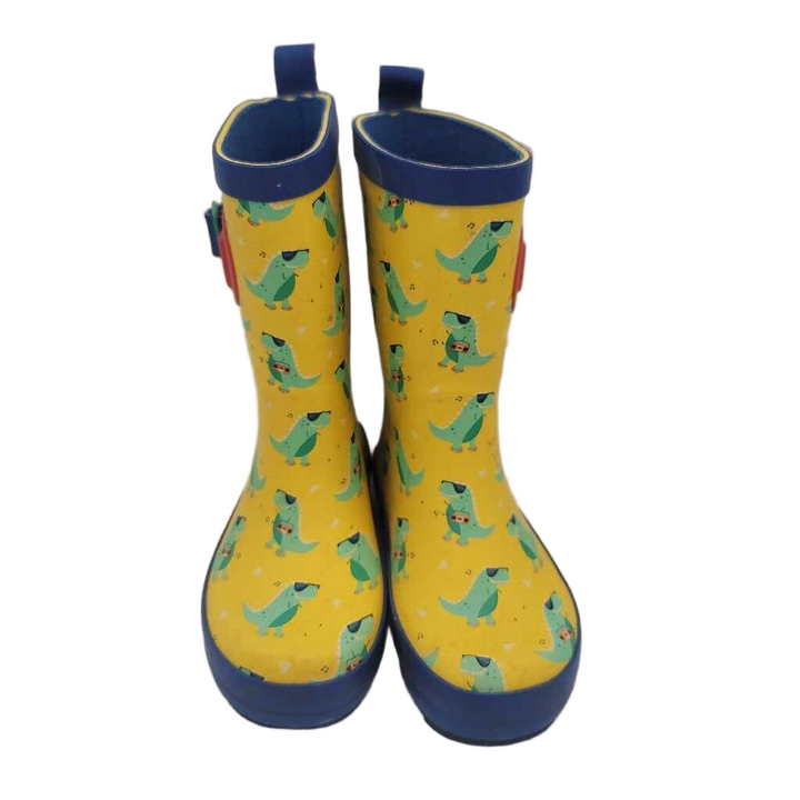 Rainboots / Dinosaurs