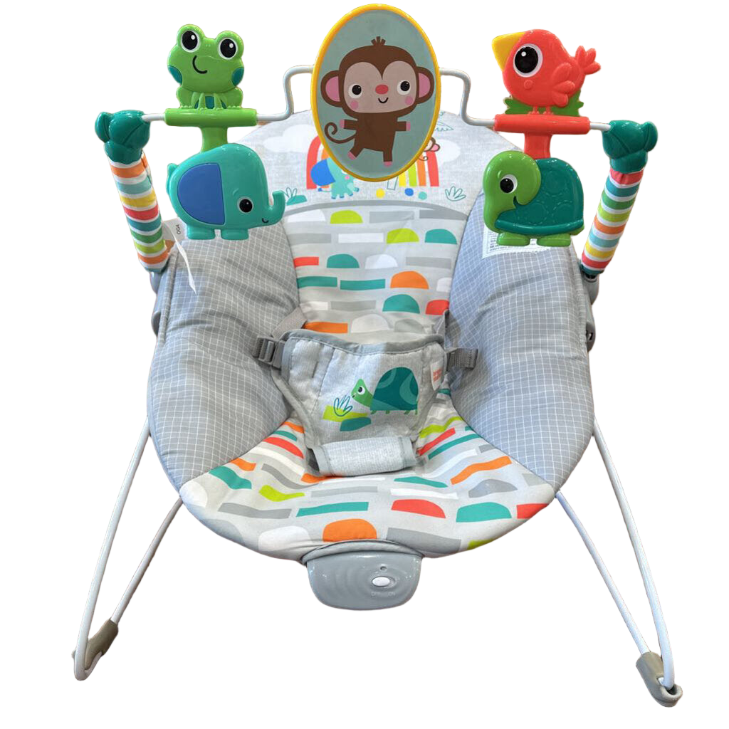 Baby Bouncer Seat
