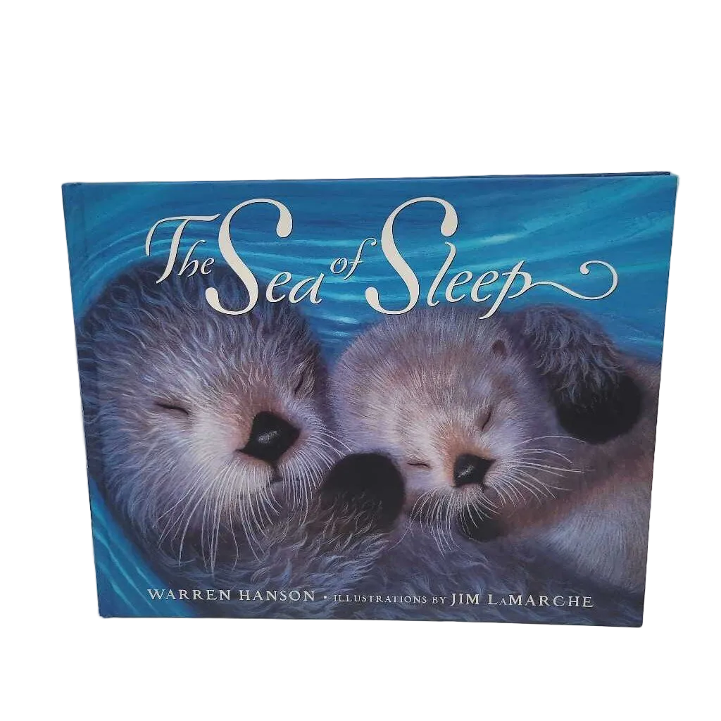 The Sea of Sleep