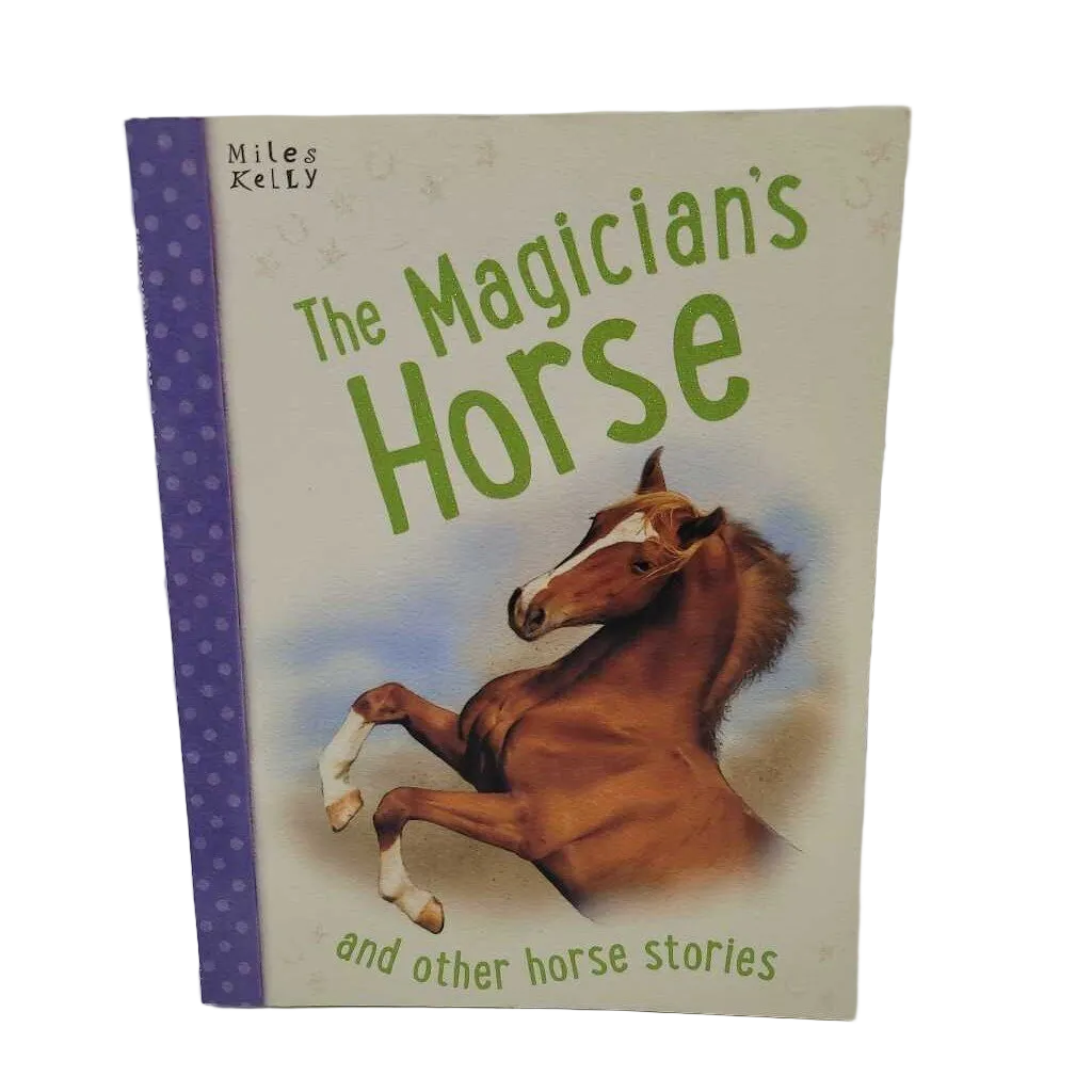 The Magician's Horse