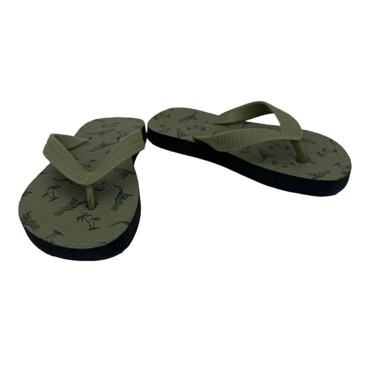Flip Flops/ Dinosaur