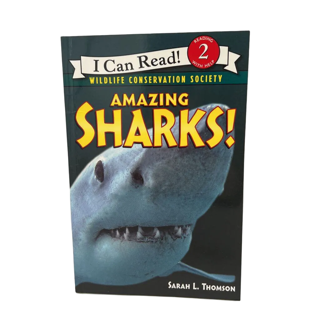 Amazing Sharks!