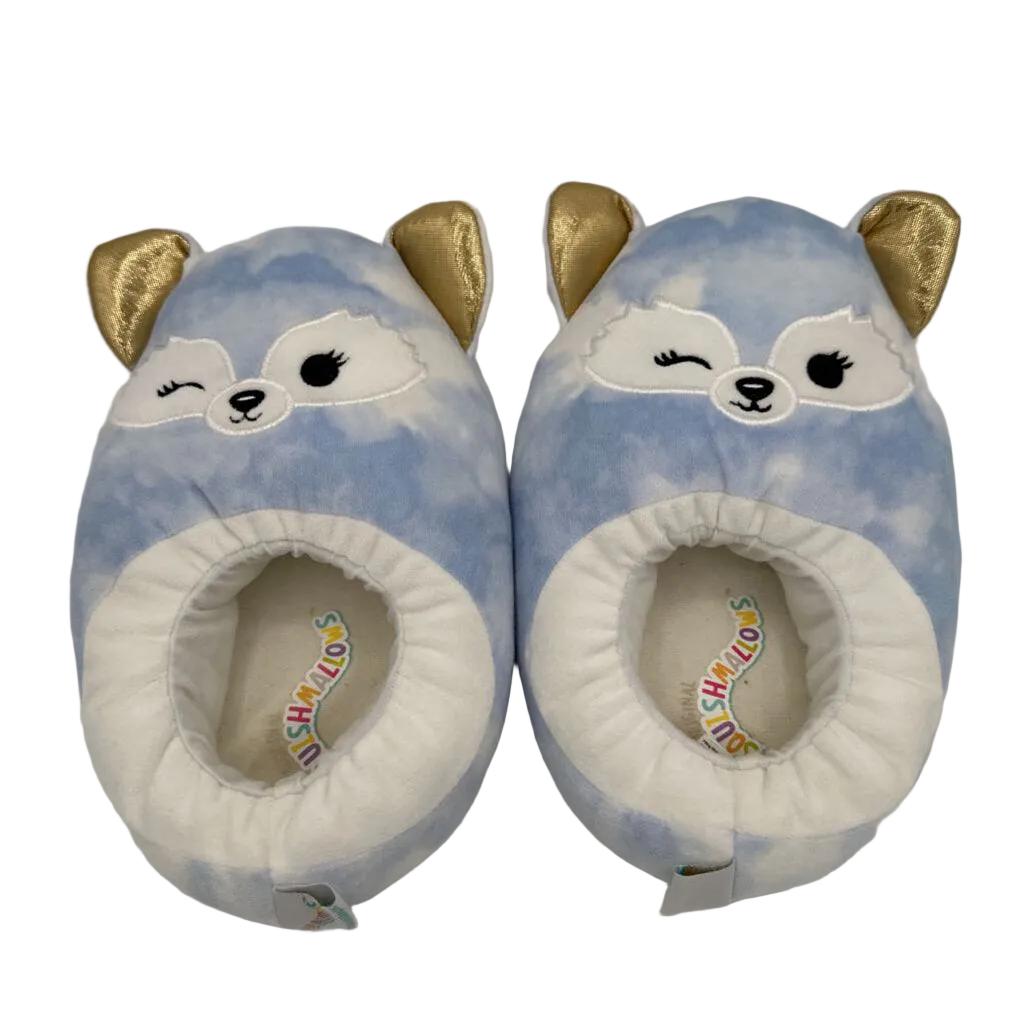 Raccoon Slippers