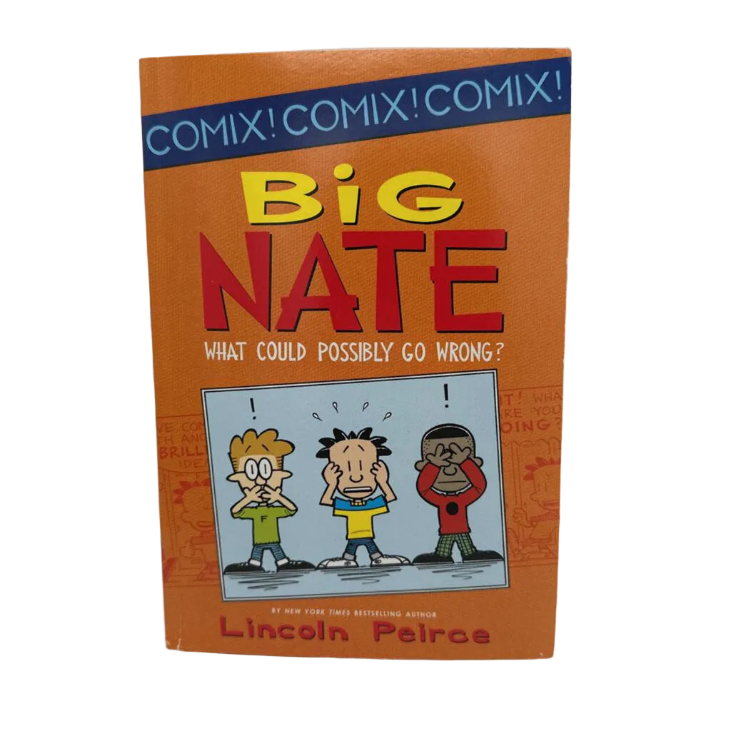 Big Nate: What Could Possibly go Wrong?