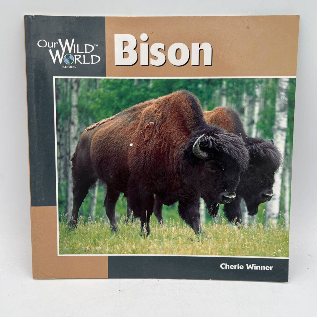 Our Wild World: Bison