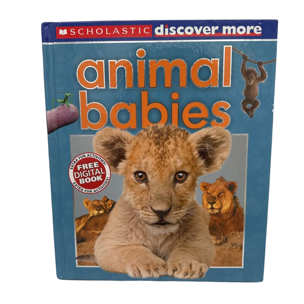 Animal Babies