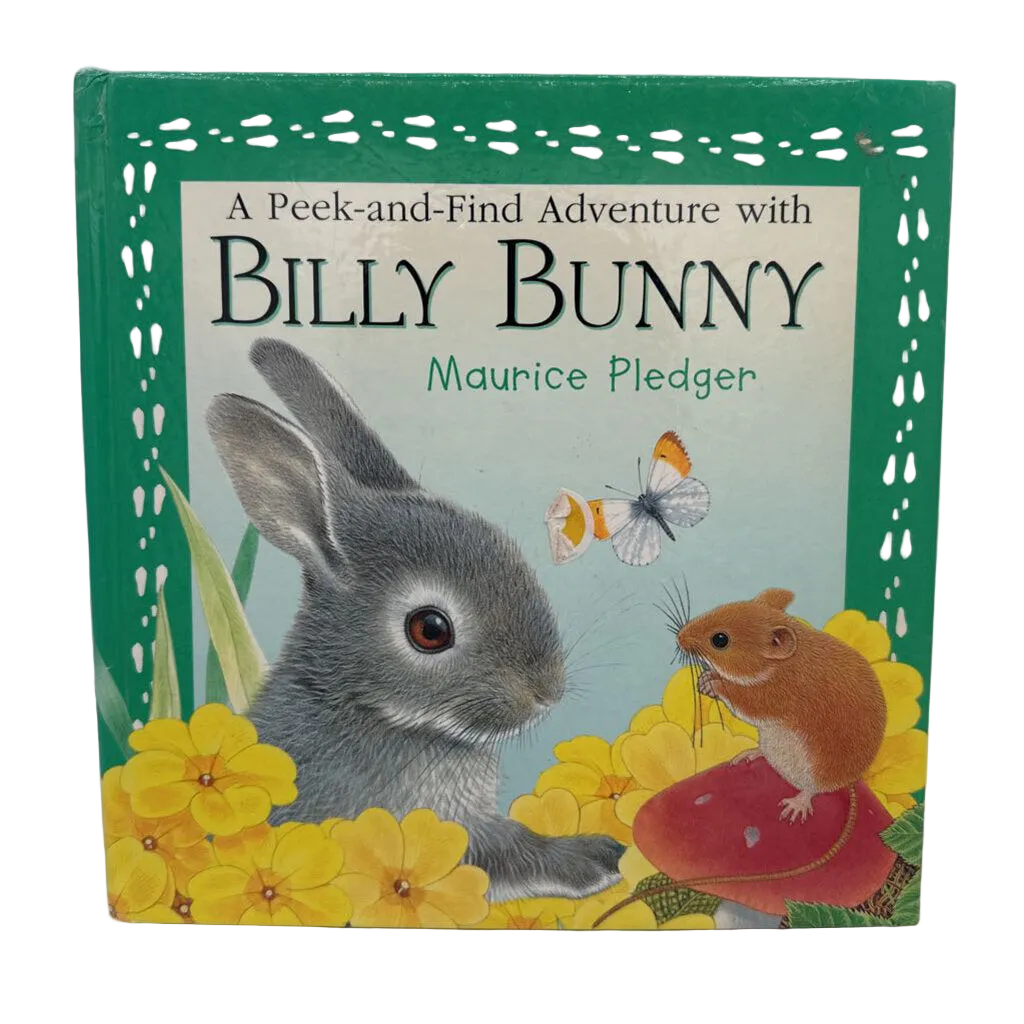 Billy Bunny