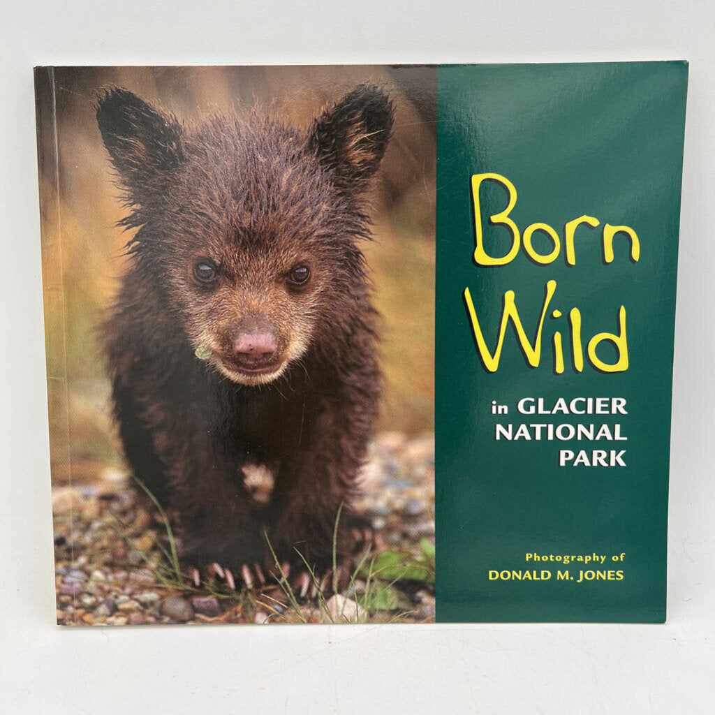 Born Wild in Glacier National Park