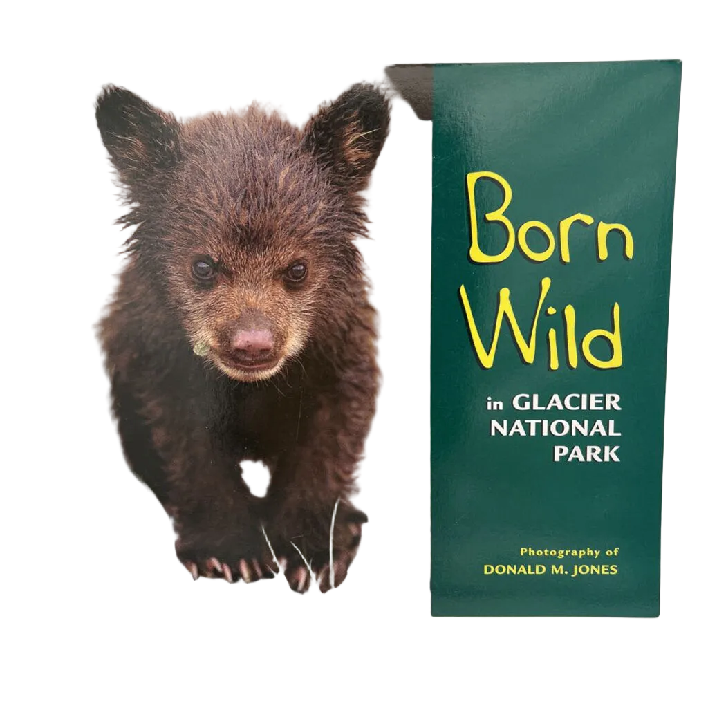 Born Wild in Glacier National Park
