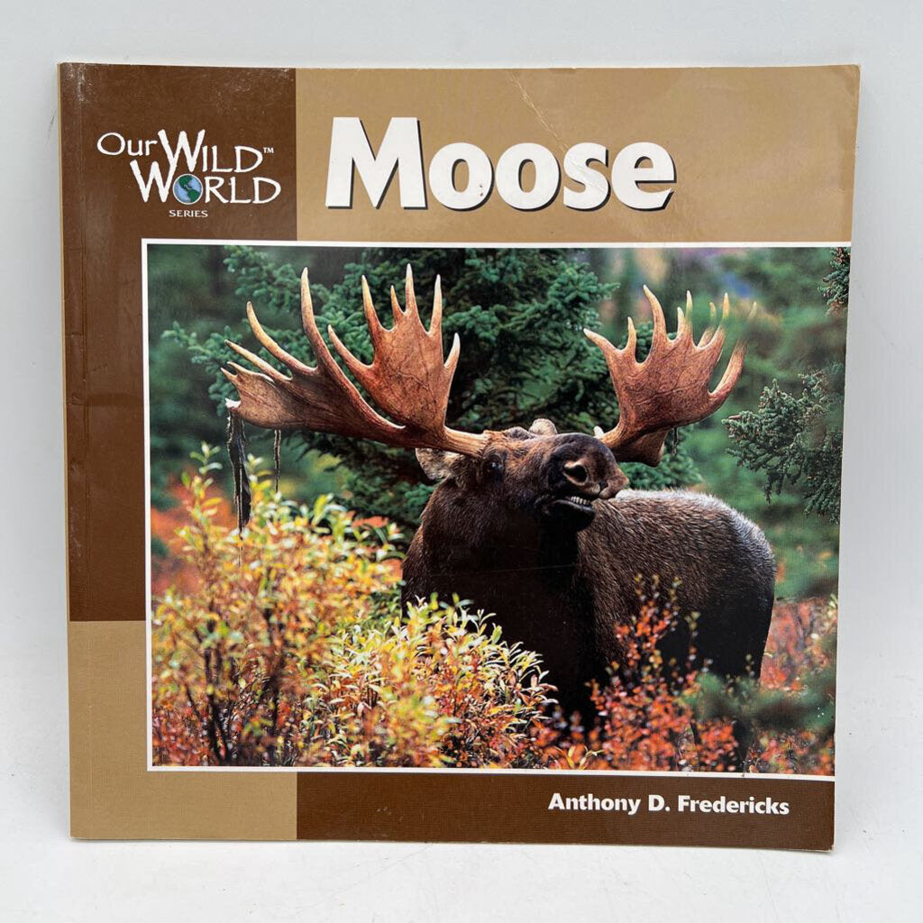Our Wild World: Moose