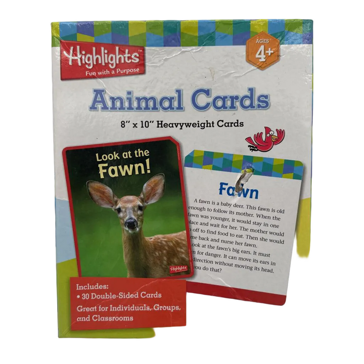 Animal Cards