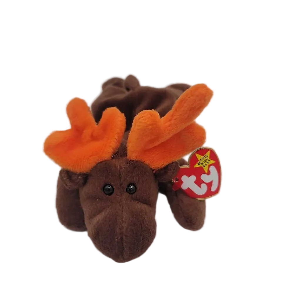 Chocolate the Moose