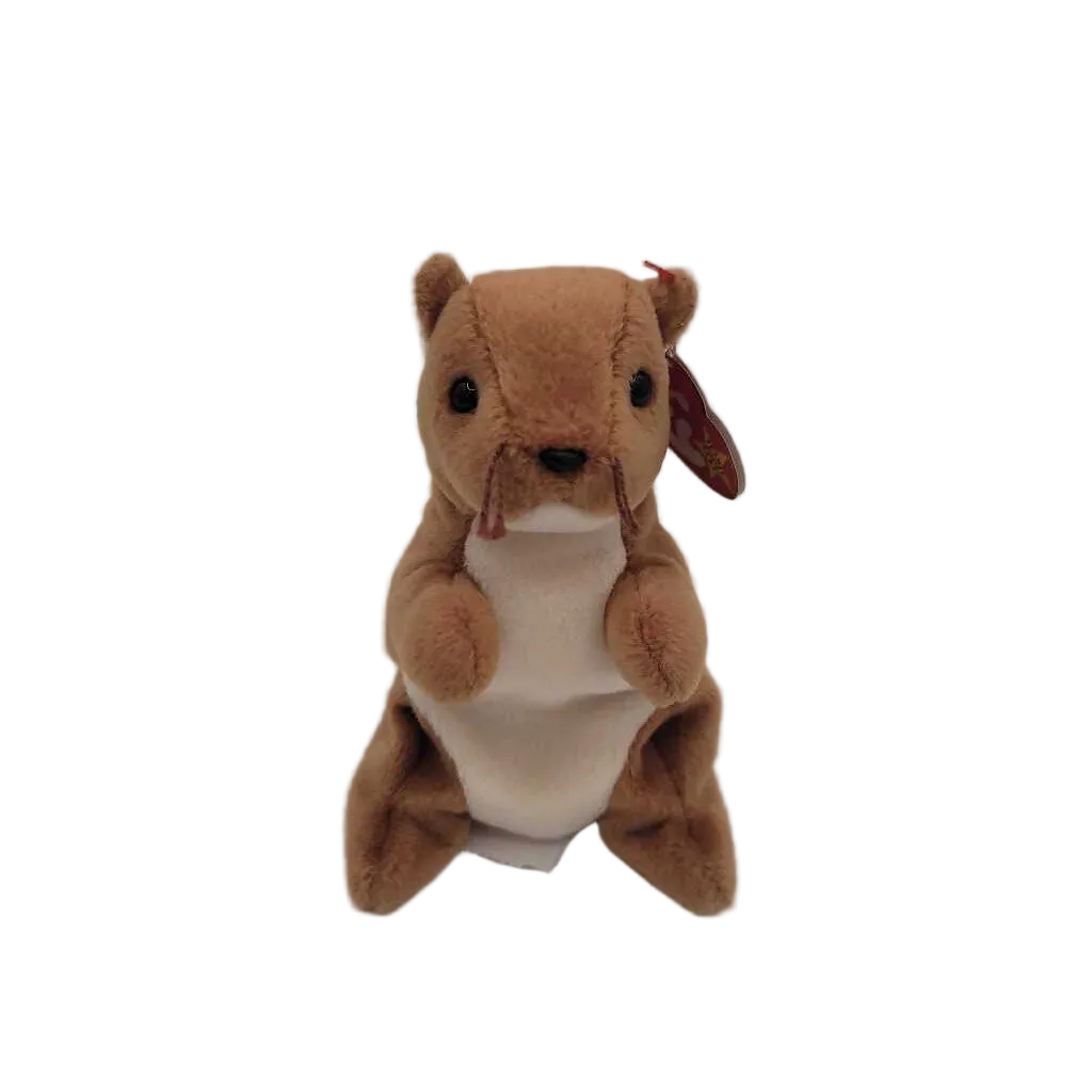 Nuts the Squirrel