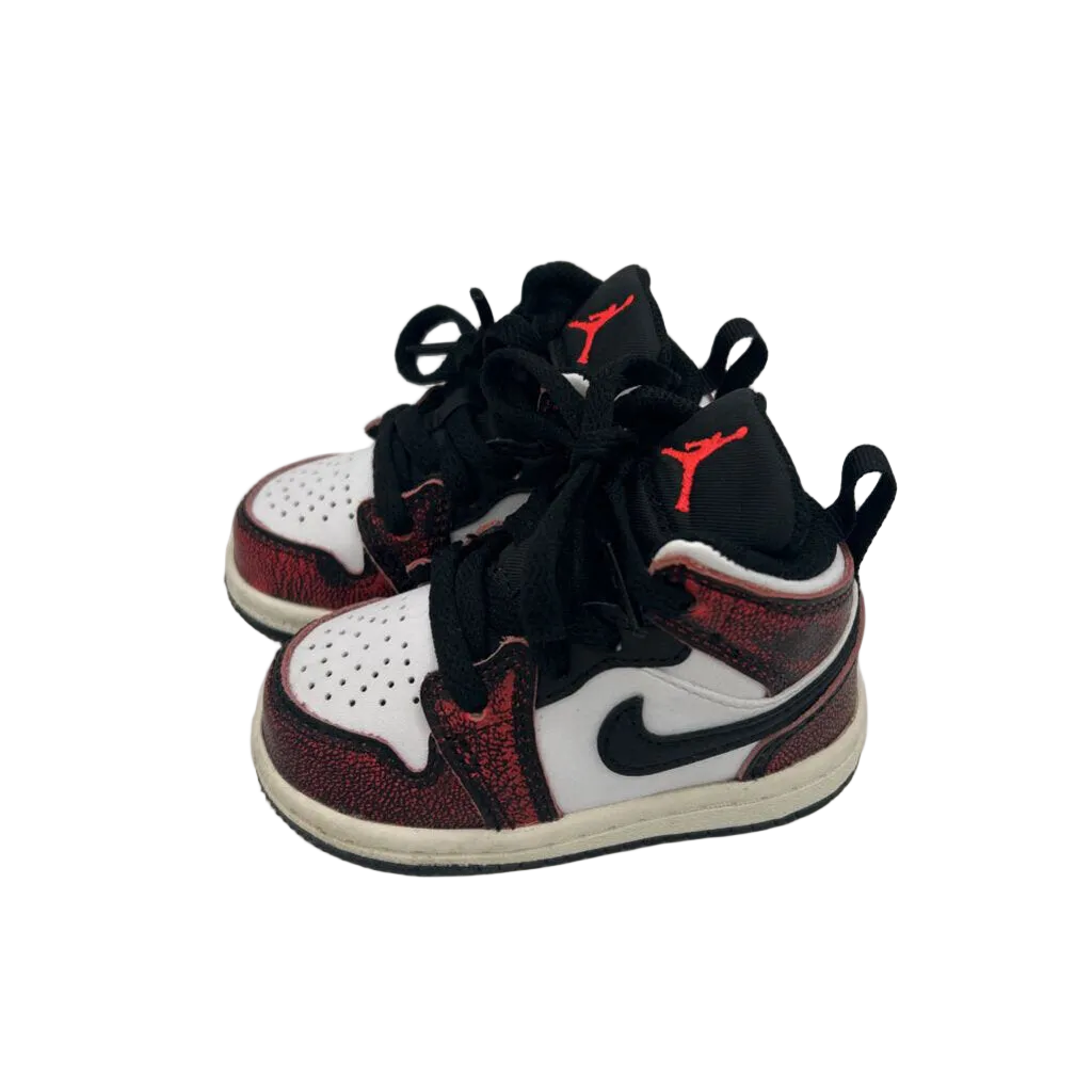 Lace Up Sneakers/High Top