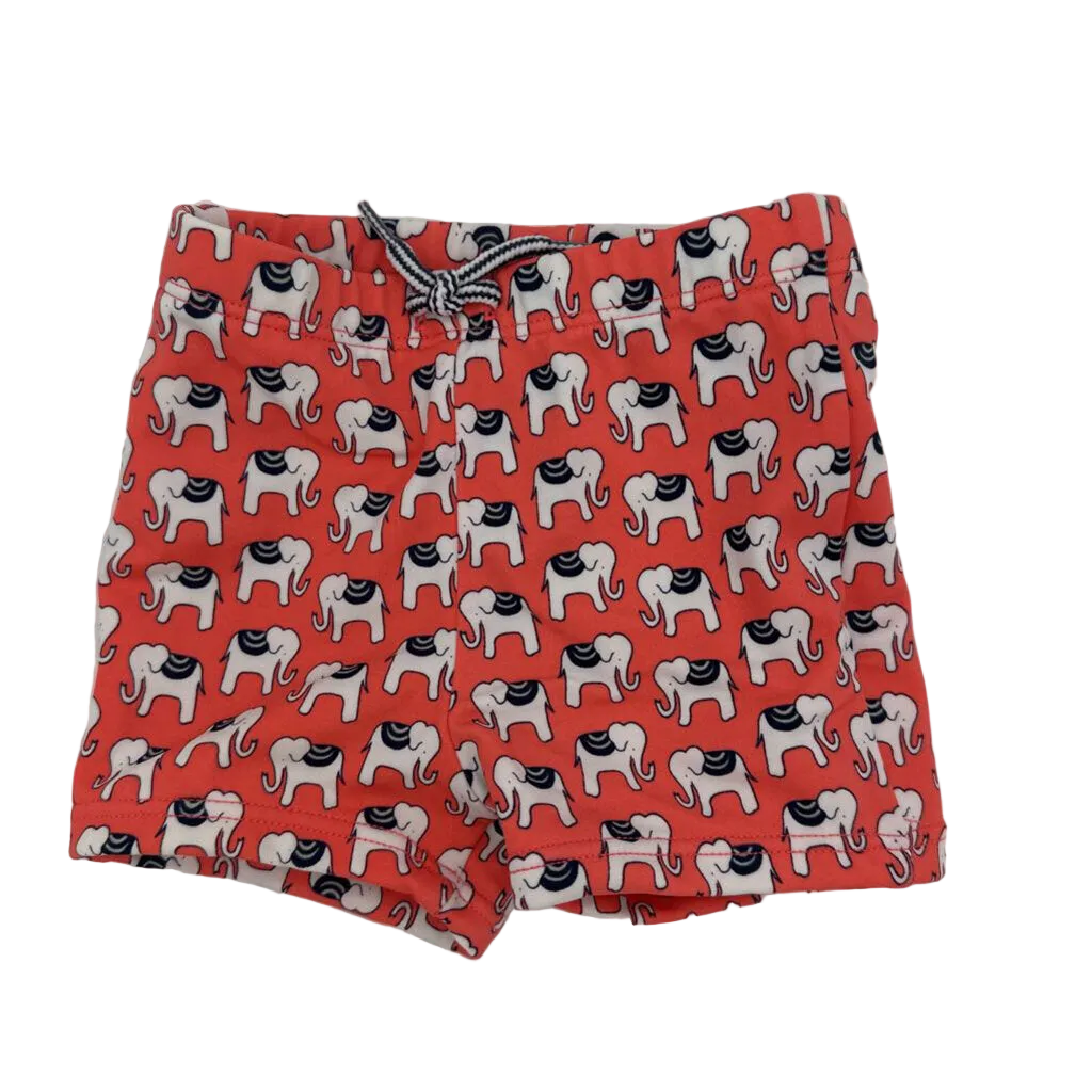 Elastic Waist Swim Shorts