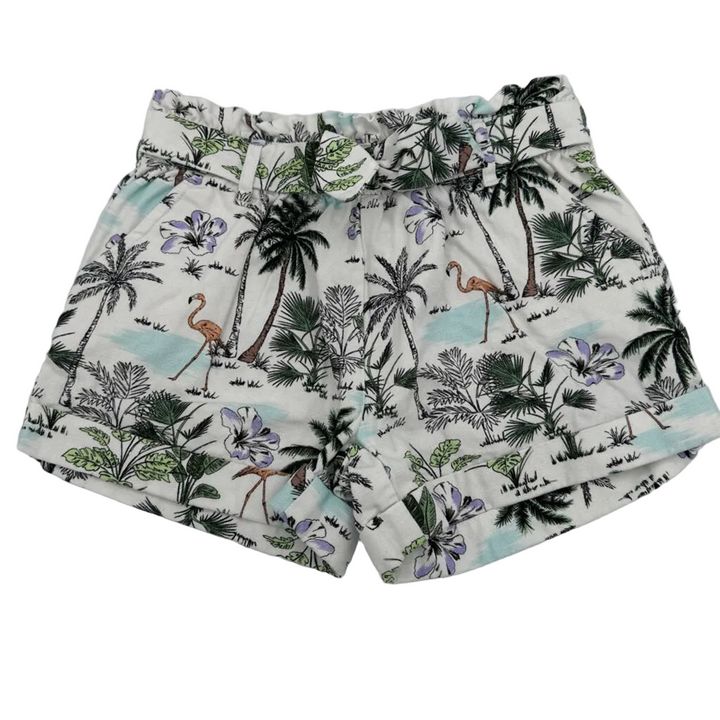 ELastic Waist Shorts/Flamingos