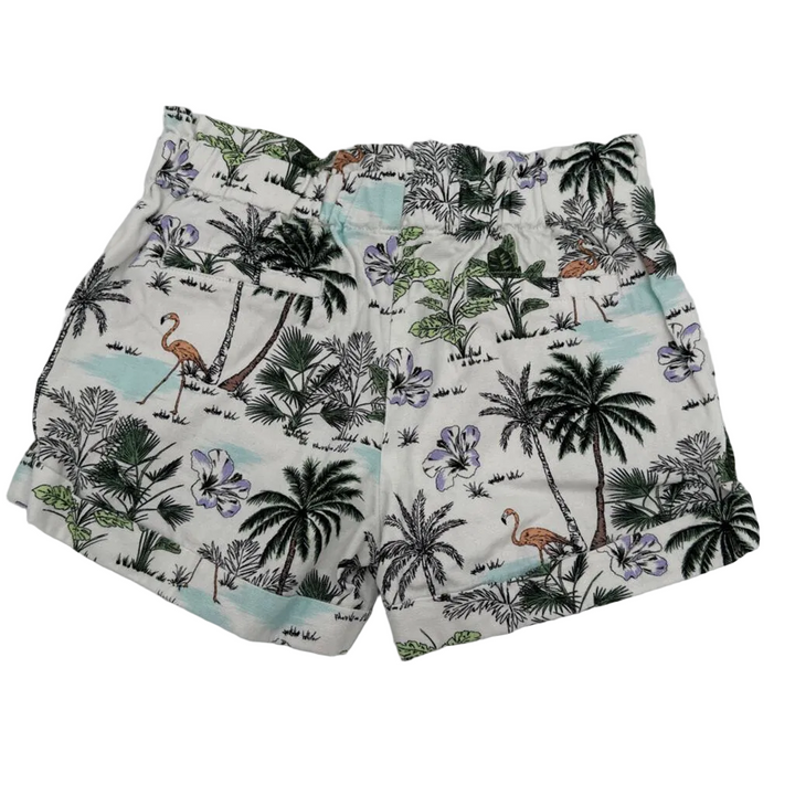 ELastic Waist Shorts/Flamingos