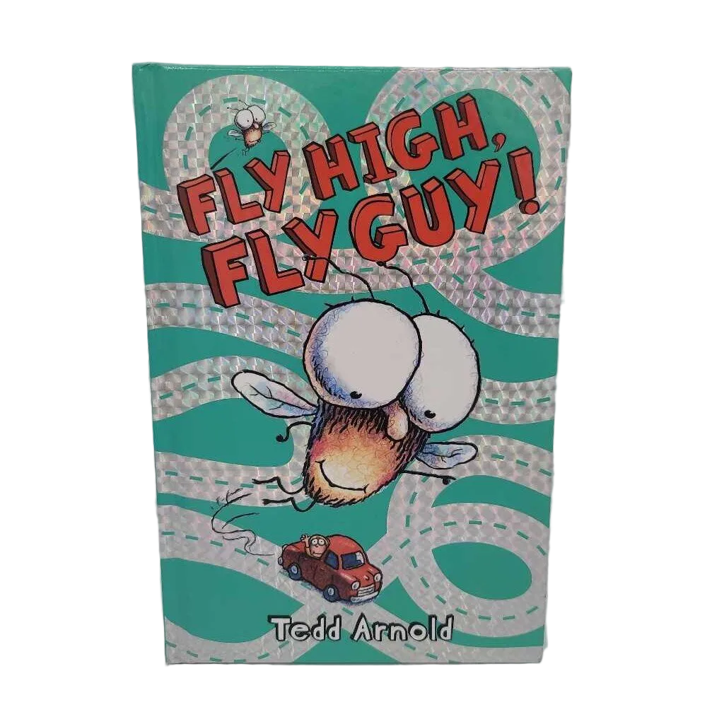 Fly High, Fly Guy!