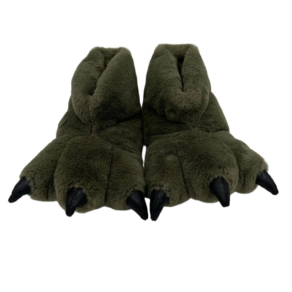 Dinosaur Slippers