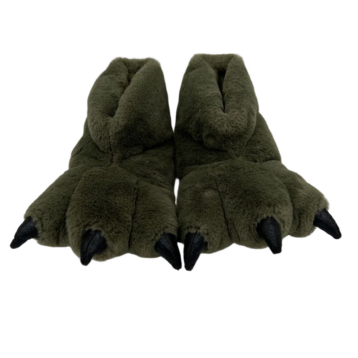 Dinosaur Slippers