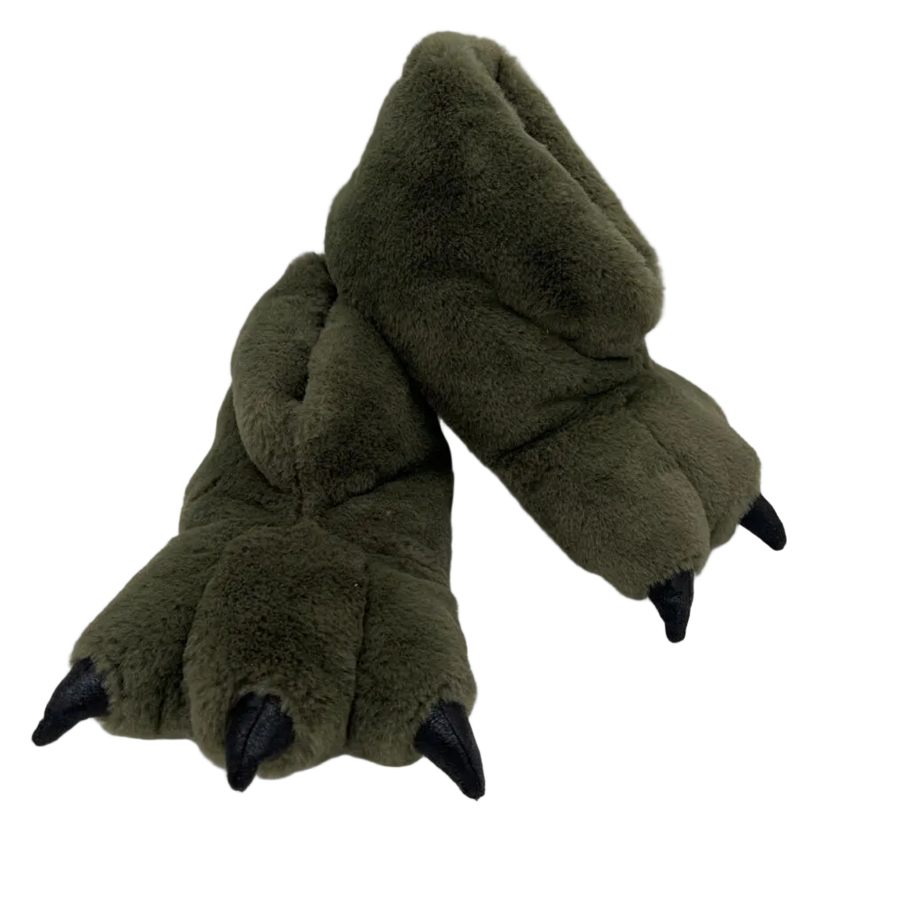 Dinosaur Slippers
